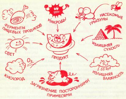 Условия развития плесени Условия развития плесени